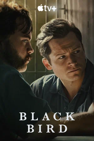 Чёрная птица (сериал, 2022) 1 сезон смотреть онлайн на Лордфильм бесплатно
