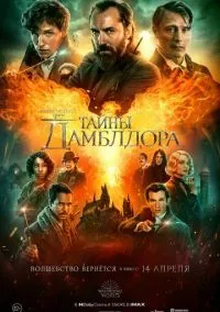 Фантастические твари: Тайны Дамблдора (фильм, 2022) смотреть онлайн на Лордфильм бесплатно